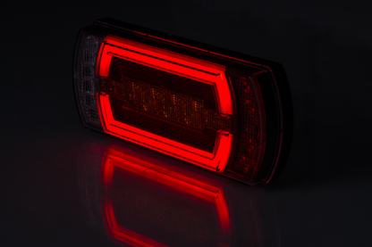 Rear multifunction light LZD 2841